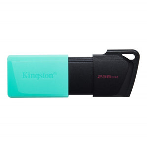 USB Kingston DataTraveler Exodia M, 256GB